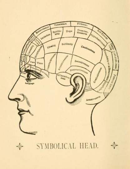 phrenology
