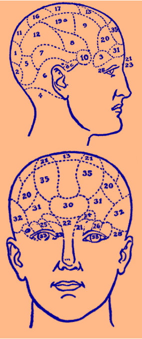 phrenology
